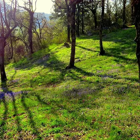 Venera * Labin (Istria)