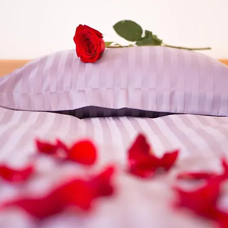 Venera Lejlighed Labin (Istria)